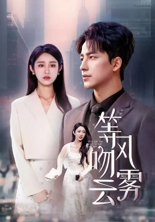 长巷灯火 热播电视剧全集